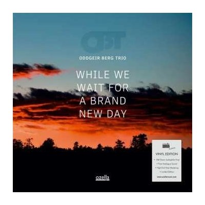 Oddgeir Berg Trio - While We Wait For A Brand New Day LTD LP