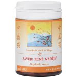 TCM Herbs Závěje plné naděje 100 tablet – Hledejceny.cz
