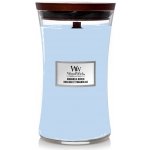 WoodWick Magnolia Birch 609,5 g – Zbozi.Blesk.cz