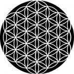 Artremiss Květ života plastová šablona 466 G 29x29cm – Zboží Dáma