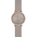 Skagen SKW3060 – Zbozi.Blesk.cz