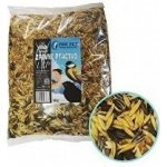 Fine Pet Lesní zpěvné ptactvo 0,8 kg – Zboží Mobilmania