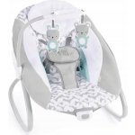 Ingenuity houpačka velká s vibračním houpatkom a melodií USB 2v1 Raylan – Hledejceny.cz