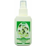 Naděje Výluh z lopuchu s rozprašovačem 215 ml – Sleviste.cz