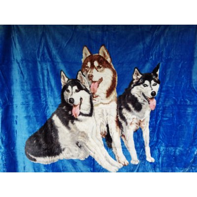 Elway Deka akryl pes Husky 160x210 – Zboží Mobilmania