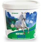 Mikros Horse Minviter Minerální krmivo pro koně 3 kg