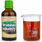 Bylinné kapky Orobinec TCM Pavlovy bylinné kapky tinktura 50 ml – Hledejceny.cz