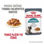 Royal Canin Hairball Care 12 x 85 g – Hledejceny.cz