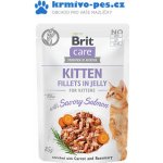 Brit Care Cat Fillets in Jelly Kitten with Salmon 85 g – Zboží Mobilmania