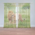 Sablio Záclony Lev a lvice: 2ks 150x250cm – Hledejceny.cz