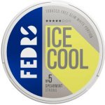 FEDRS ICE COOL SPEARMINT STRONG – Zboží Mobilmania