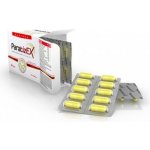 Salutem Pharma Parazitex 60 kapslí – Zbozi.Blesk.cz