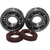 Ojniční sada pro motorku Ložiska klikové hřídele BEARING WORX CBK60001