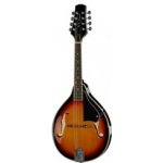 Harley Benton HBMA-50 E Mandoline VS – Zbozi.Blesk.cz