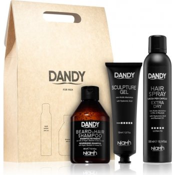 DANDY Styling gift set šampon na vlasy a vousy 300 ml + gel na vlasy se silnou fixací 150 ml + lak na vlasy se silnou fixací 300 ml