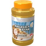 Starlife Angelica Star 60 kapslí – Hledejceny.cz