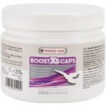 Versele-Laga Oropharma Boost X5 500 g – Zboží Dáma