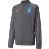 Dětská sportovní bunda Puma Neymar JR Futebol Training Jac 605599-07