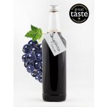 Sirupárna Domácí Černý Rybíz Sirup 100 ml – Sleviste.cz