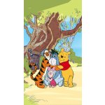 Fotozáclony Medvídek Pú a kamarádi 140x245cm FCS L 7110 – Hledejceny.cz