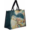 Nákupní taška a košík Nákupní taška Rainbow Cat