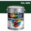 Barvy na kov Alkyton hladký lesklý RAL 6009 5 L jedlová zelená