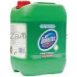 Domestos Professional Pine Fresh univerzální čistící prostředek 5 l – Zboží Dáma