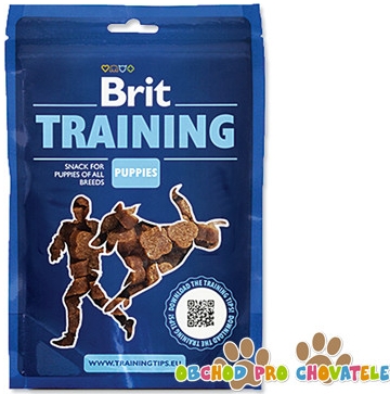brit training puppies
