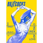 Plakát, Obraz - Buzzcocks - Orgasm Addict, (59.4 x 84 cm) – Hledejceny.cz