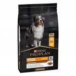 Purina Pro Plan Duo Délice Medium & Large Adult Chicken 10 kg – Zboží Mobilmania