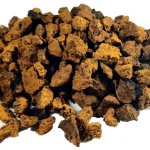 Salvia Paradise Čaga Chaga Rezavec šikmý 50 g – Sleviste.cz