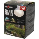 Repti Planet Daylight Frosted 75 W 007-41023 – Zboží Dáma