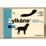 ZYLKENE 450 mg 100 tbl – Zboží Mobilmania