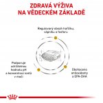 Royal Canin Veterinary Health Nutrition Dog Urinary S/O 7,5 kg – Sleviste.cz