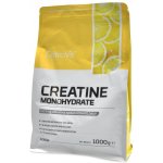 Ostrovit Creatine monohydrate 1000 g – Zboží Dáma