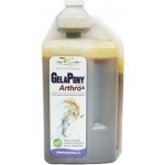 Orling GelaPony Arthro Biosol 3 l – Hledejceny.cz