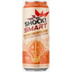 Big Shock! Smart Mango & Lychee 0,5 l – Hledejceny.cz
