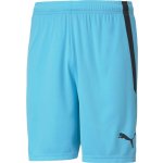 Puma teamLIGA Shorts – Zbozi.Blesk.cz