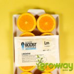 Integra Boost Terpene Essentials Limonen 67g, 62%, 1 ks – Zboží Dáma