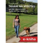 Tahání na vodítku – Hledejceny.cz