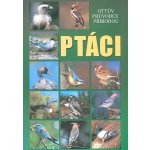 Ptáci - Ottův průvodce přírodou - Ottovo nakladatelství – Hledejceny.cz