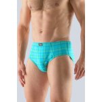 Gina pánské slipy se širším bokem širší bok šité, s potiskem 71104P – Sleviste.cz