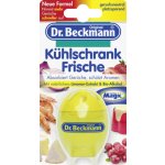 At home Scents speciální odstraňovač zápachu do ledničky s vůní citrónu 30 g – Hledejceny.cz