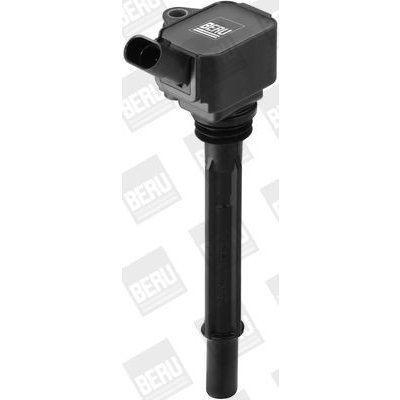 Zapalovací cívka BorgWarner (BERU) ZS096 – Hledejceny.cz