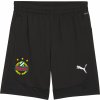 Puma SK Rapid Wien Short