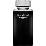 Ted Lapidus Black Soul toaletní voda pánská 100 ml – Hledejceny.cz