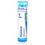 INFLUENZINUM POR 9CH GRA 1X4G – Hledejceny.cz