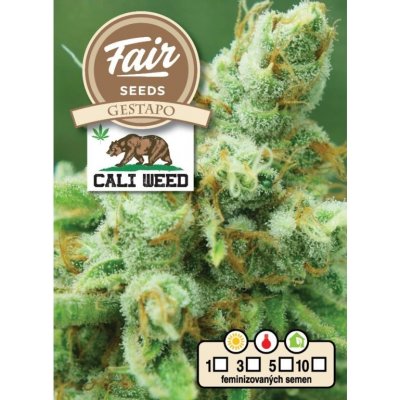 Fair Seeds Gestapo semena neobsahují THC 3 ks – Sleviste.cz