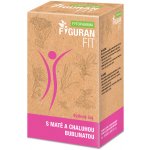 Fytopharma Figuran FIT čaj s maté chaluha 20 x 1,5 g – Hledejceny.cz