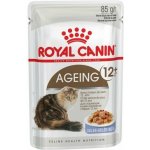 Royal Canin Feline Ageing 12 + Jelly 12 x 85 g – Sleviste.cz